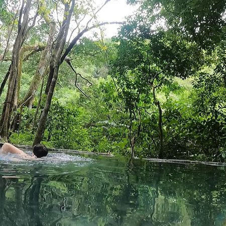 Casa Morella Monteverde 外观 照片