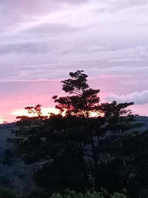 Casa Morella Monteverde 外观 照片