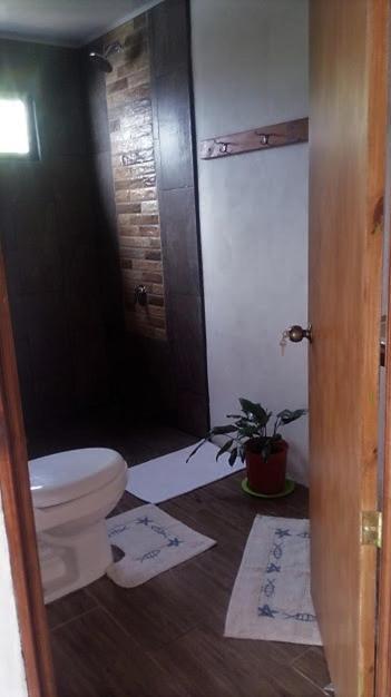 Casa Morella Monteverde 外观 照片